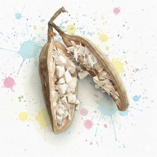 Baobab Seed Oil