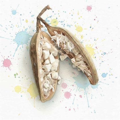 Baobab Seed Oil